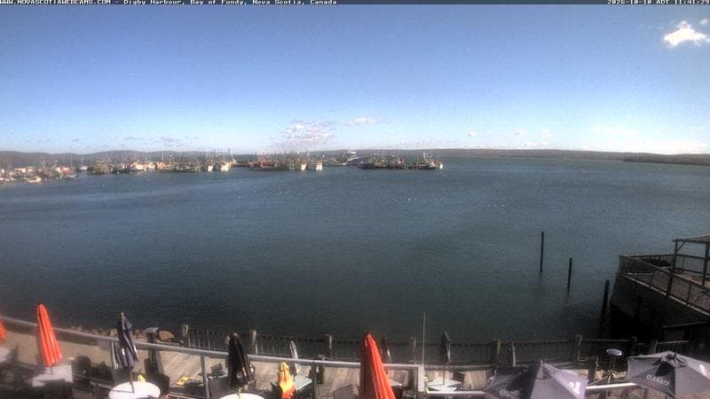 Digby Harbour