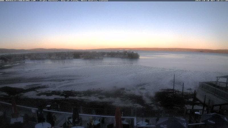 Digby Harbour