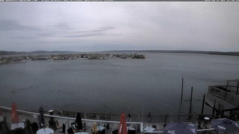 Digby Harbour