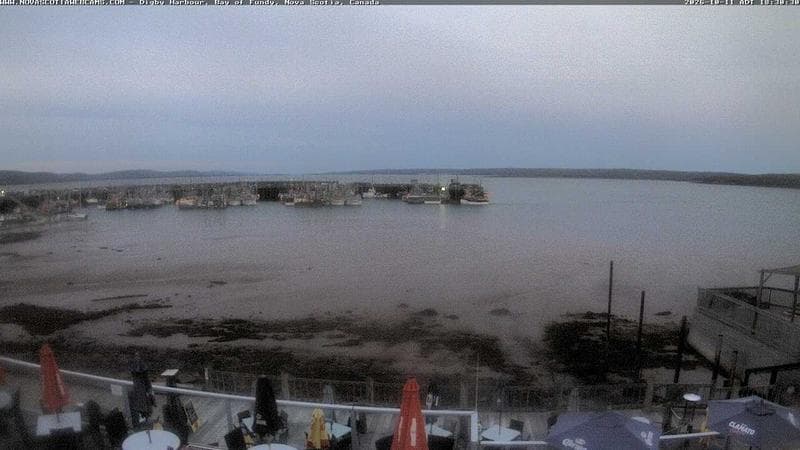 Digby Harbour