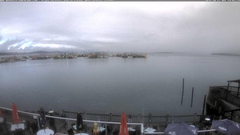 Digby Harbour