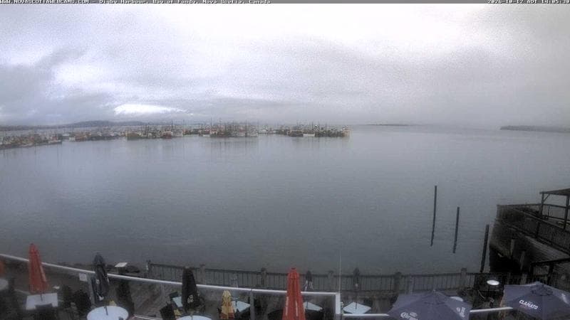 Digby Harbour