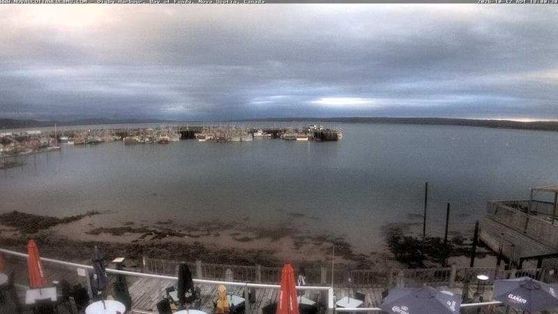 Digby Harbour
