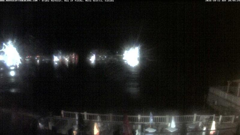 Digby Harbour