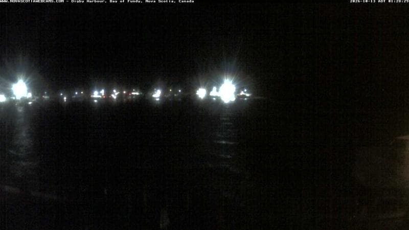 Digby Harbour