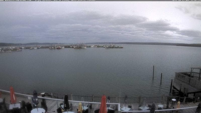 Digby Harbour