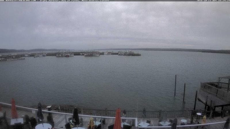 Digby Harbour