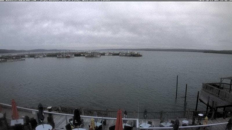 Digby Harbour