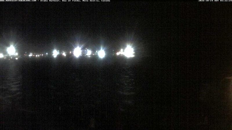 Digby Harbour