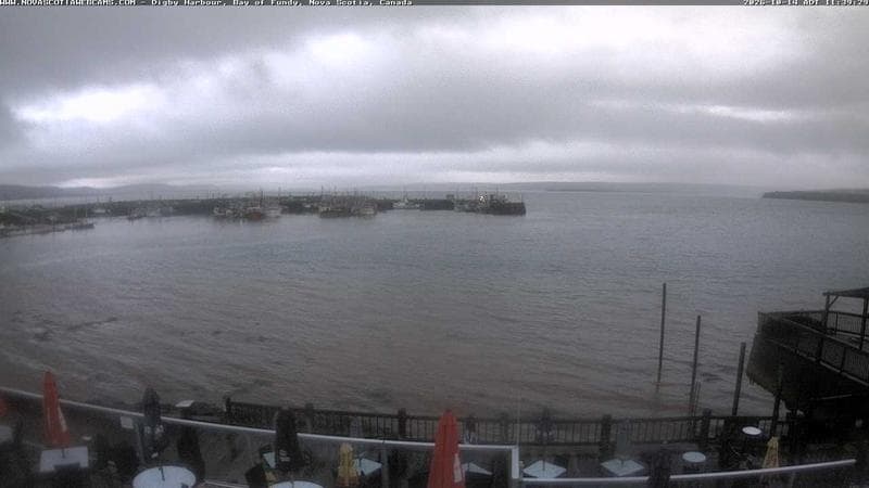 Digby Harbour