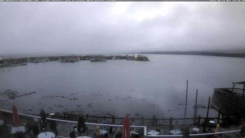 Digby Harbour