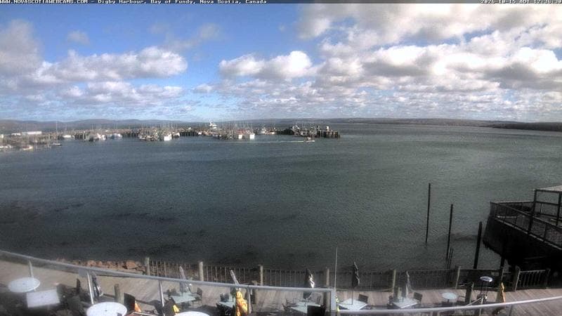 Digby Harbour