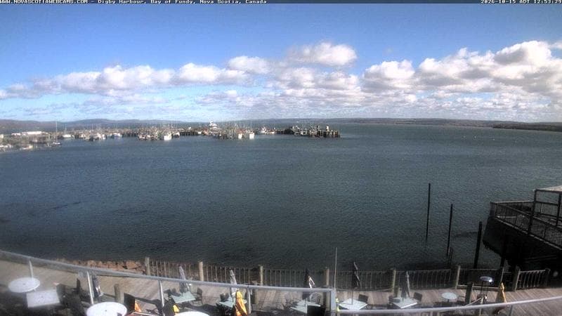 Digby Harbour