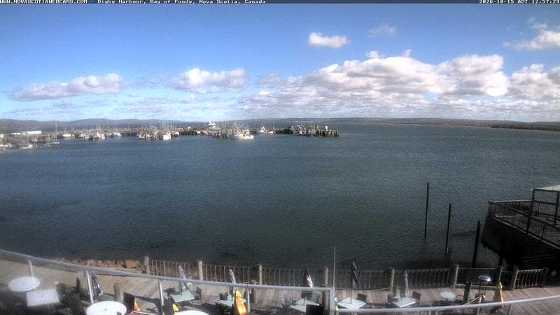 Digby Harbour