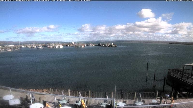 Digby Harbour