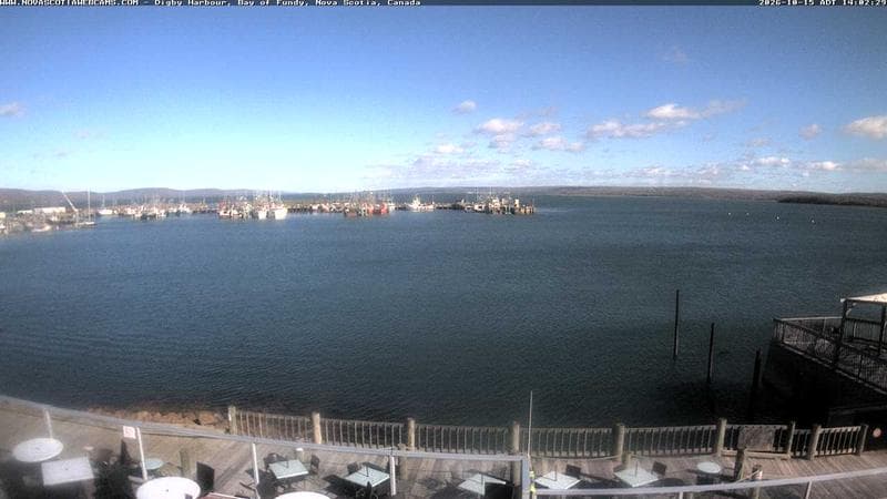 Digby Harbour