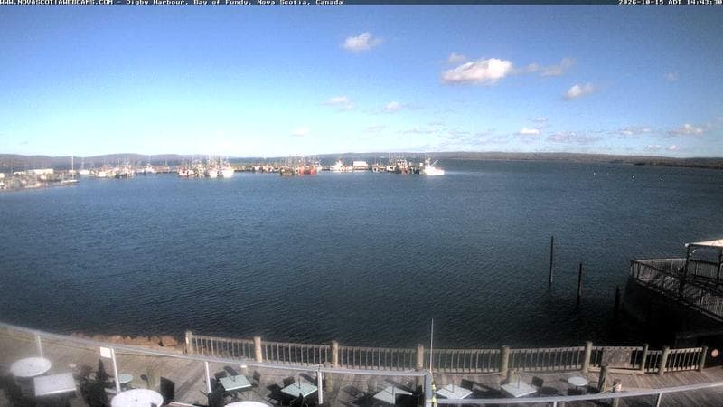 Digby Harbour