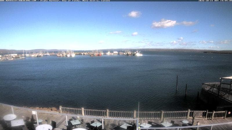 Digby Harbour