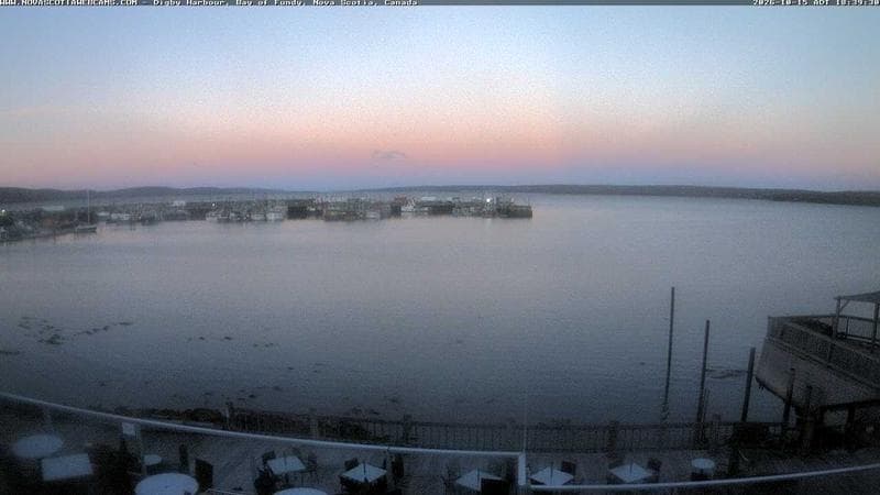 Digby Harbour