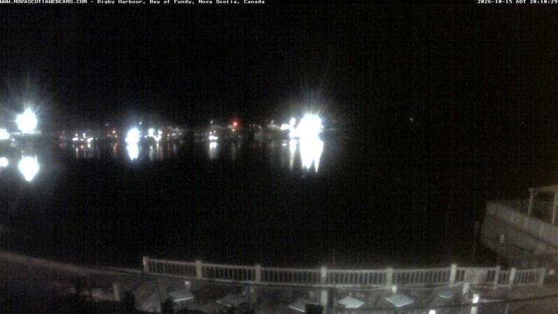 Digby Harbour