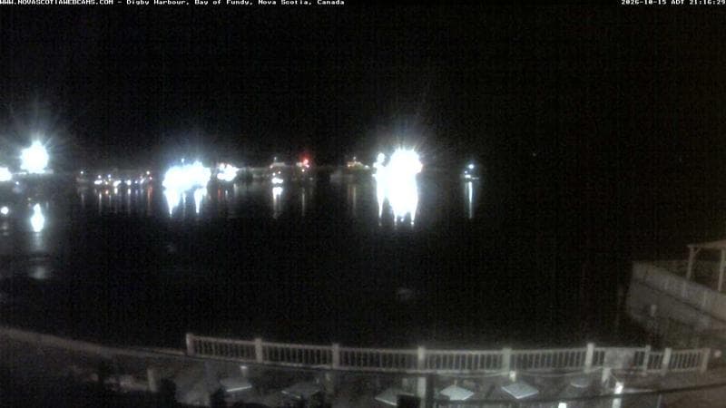 Digby Harbour