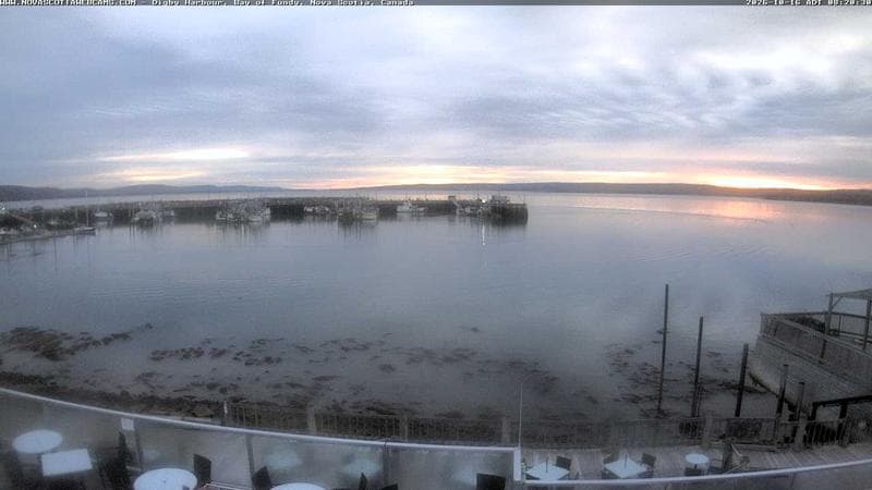 Digby Harbour