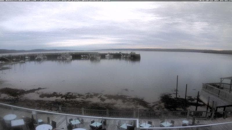 Digby Harbour