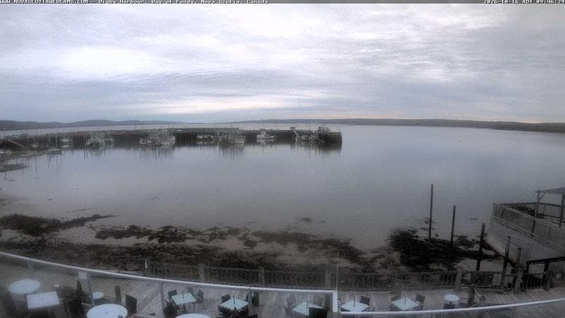 Digby Harbour