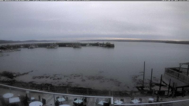 Digby Harbour