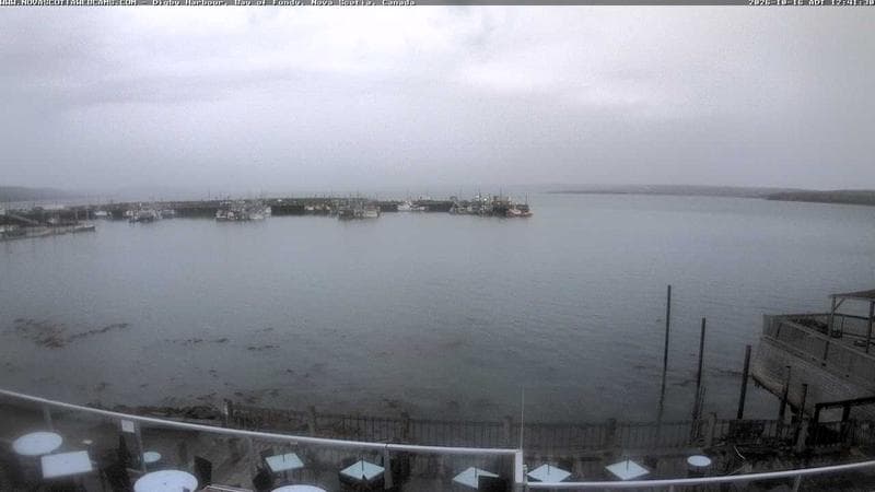 Digby Harbour