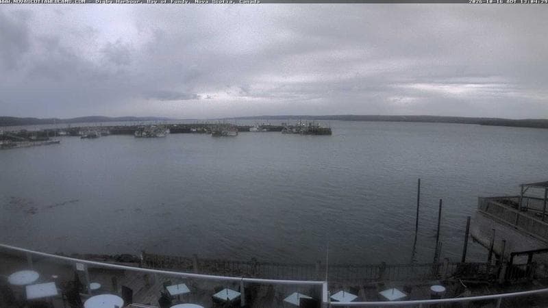 Digby Harbour