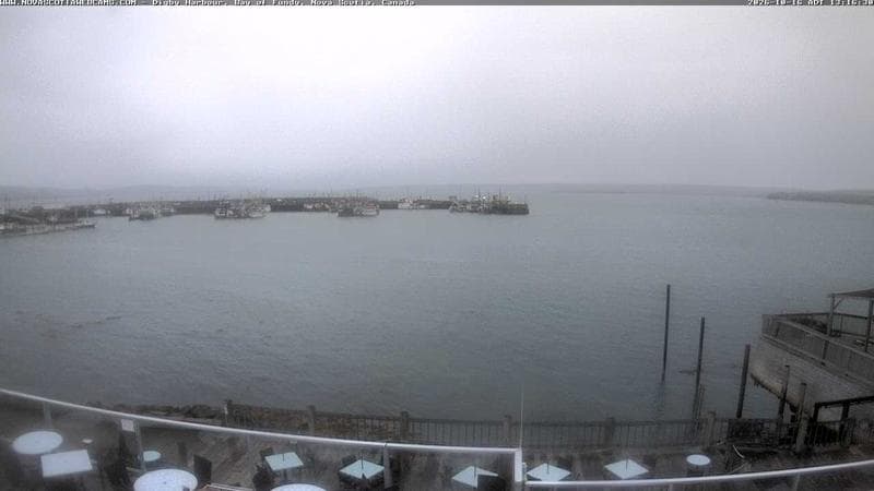 Digby Harbour