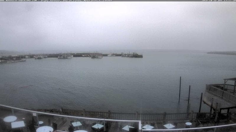 Digby Harbour