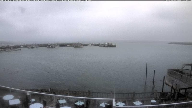 Digby Harbour