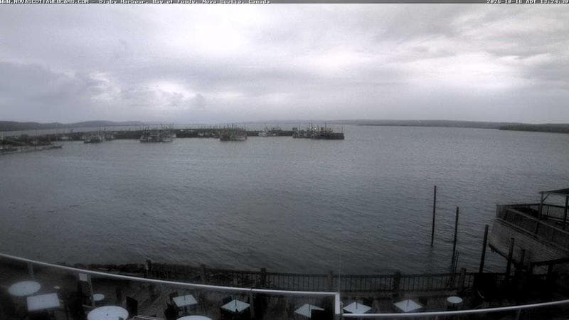 Digby Harbour