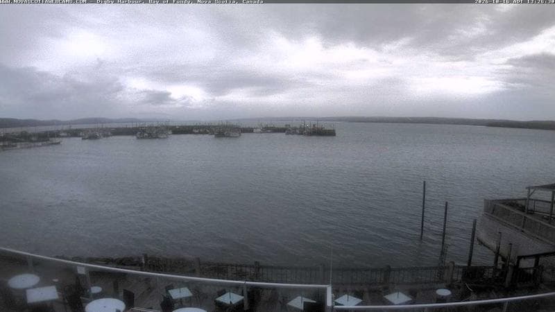 Digby Harbour
