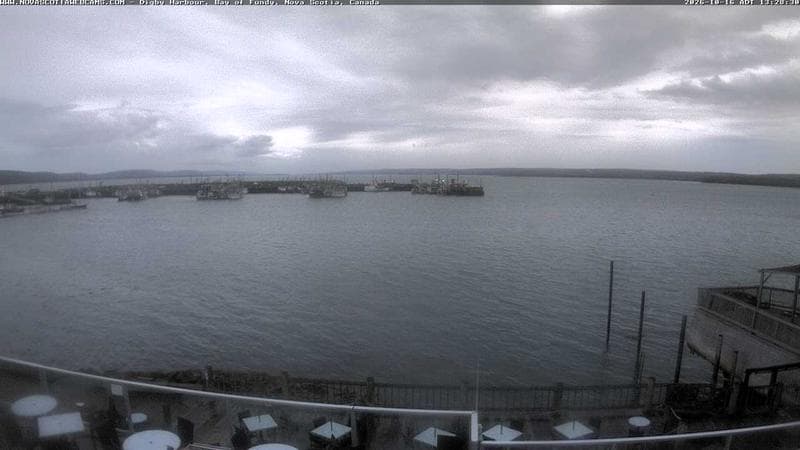Digby Harbour