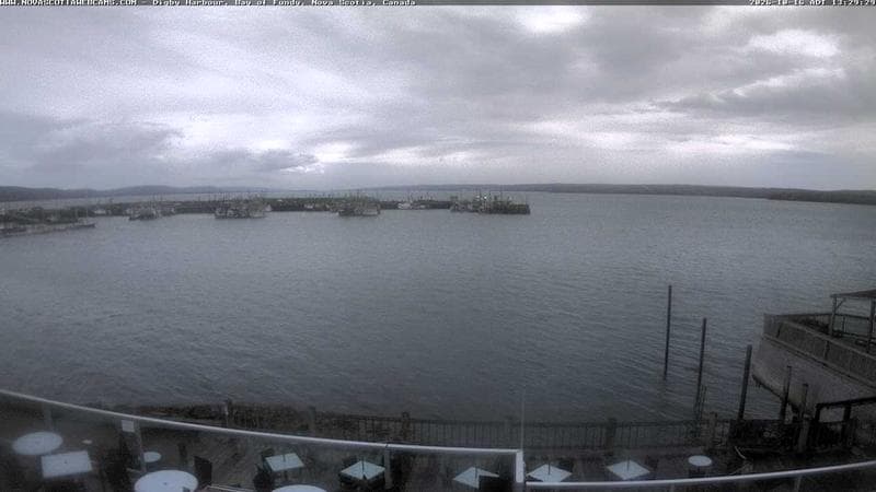 Digby Harbour