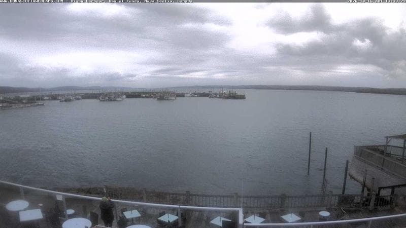 Digby Harbour