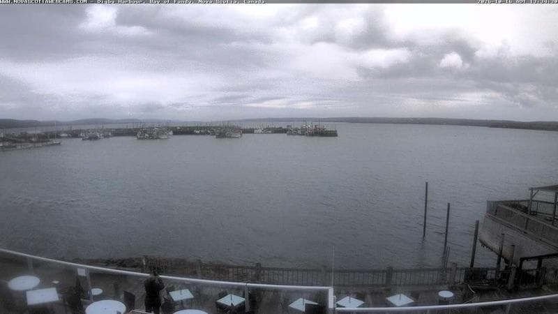 Digby Harbour