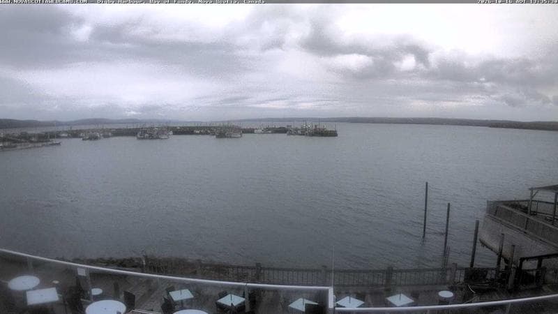 Digby Harbour