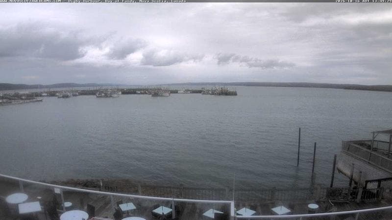 Digby Harbour