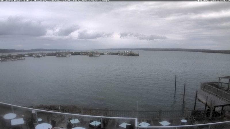 Digby Harbour