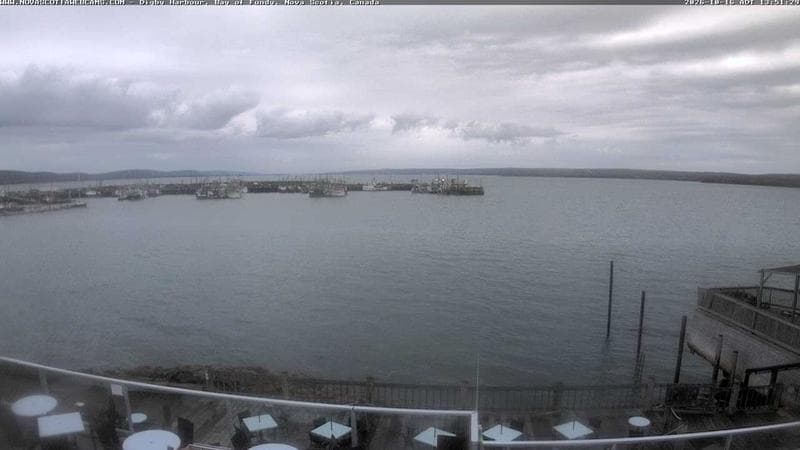 Digby Harbour