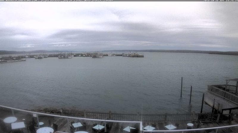 Digby Harbour