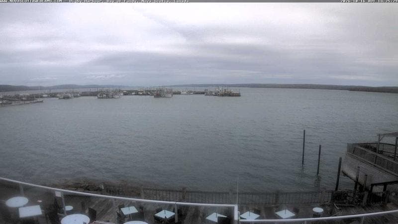 Digby Harbour