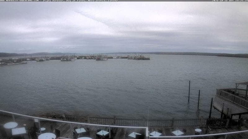 Digby Harbour