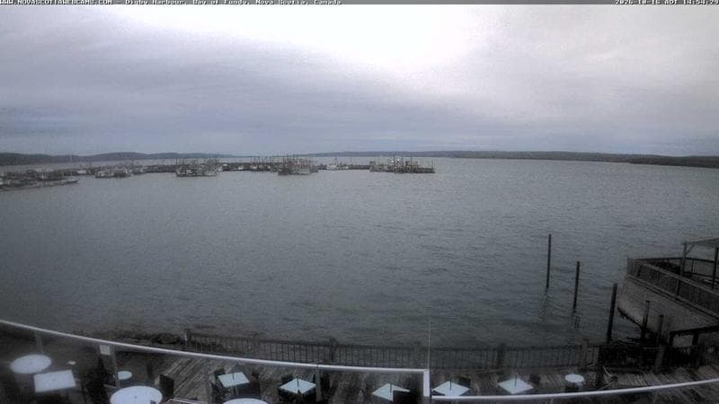 Digby Harbour