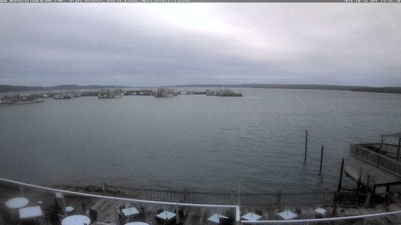 Digby Harbour