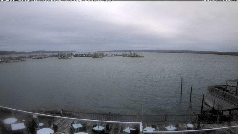 Digby Harbour